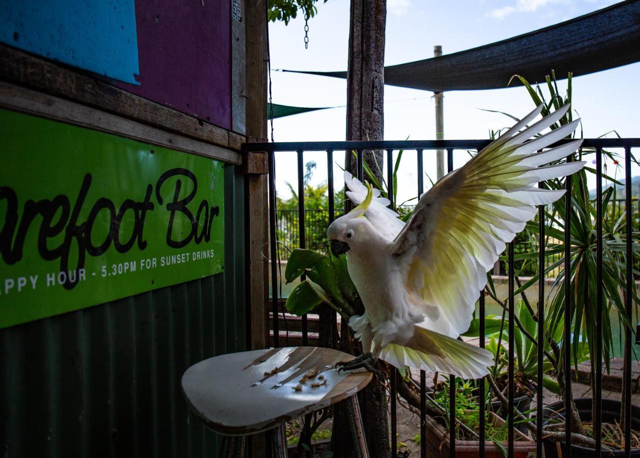 Backpackers By The Bay Hostel Airlie Beach Exterior foto