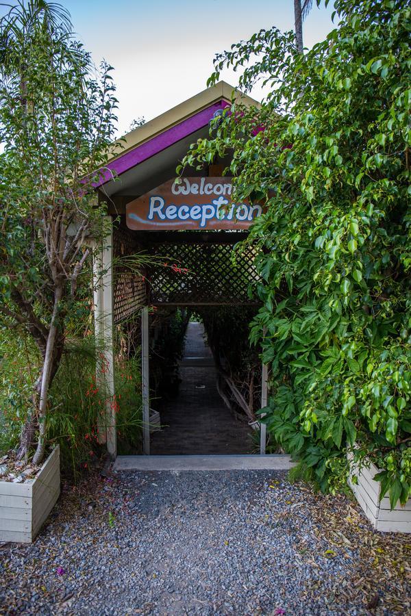 Backpackers By The Bay Hostel Airlie Beach Exterior foto